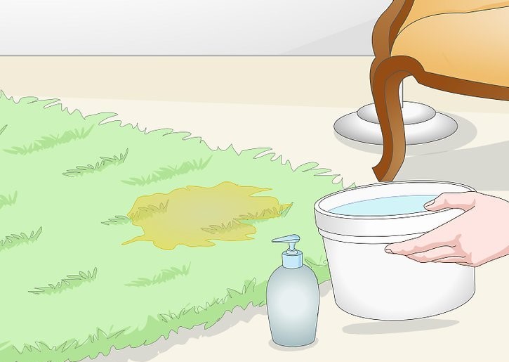 清洗猫尿