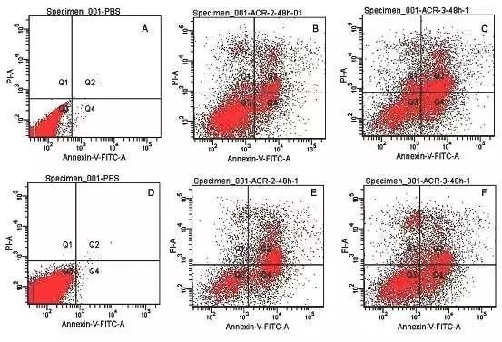 凋亡流式图图片